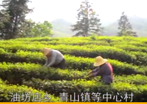 <b>ũ彨</b>