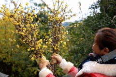 ���챱�վ��۵�ʮ�Ľ���÷�Ļ����ߵڶ���������μ���Ļ