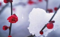 СС ˺