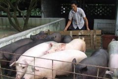 ũ壺ũҵֱũѡٽǴ򹤣