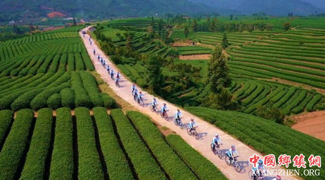 ũҵػرɫʮ˴ƽũҵɫչЧ