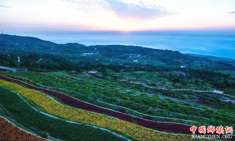 �ɶ�����7���ִ�ũҵ԰��������6+7���ִ�ũҵ԰�����