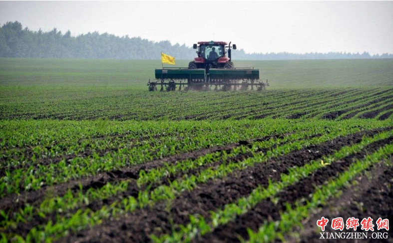 �ҹ�ũ����������ۺϻ�е���ʳ���67%