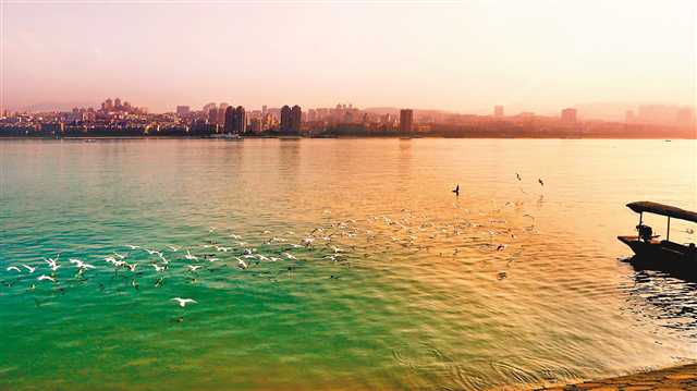 ����Ÿ ��������