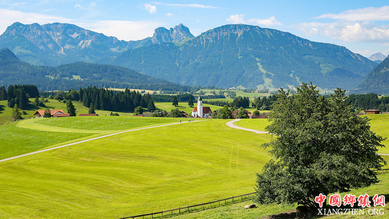 2019������һ���ļ����� ���ũҵũ�����ȷ�չ�ܷ���