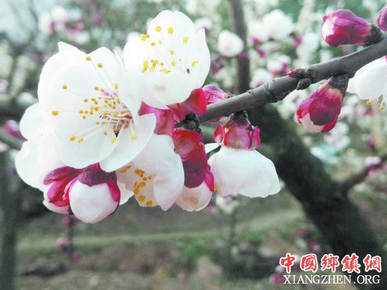 ���ش�� �����س� ��ĩ�ͻ�������