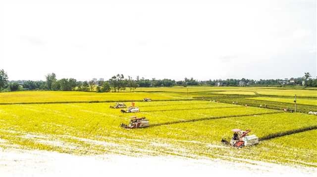 �����������조��ũ����������ЩӲ����