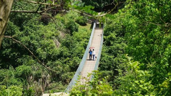 �Ͼ������ž��������Ž�������οͿ���