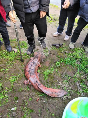 �������ݽ���4���½����� �����ڲ��ܵ���