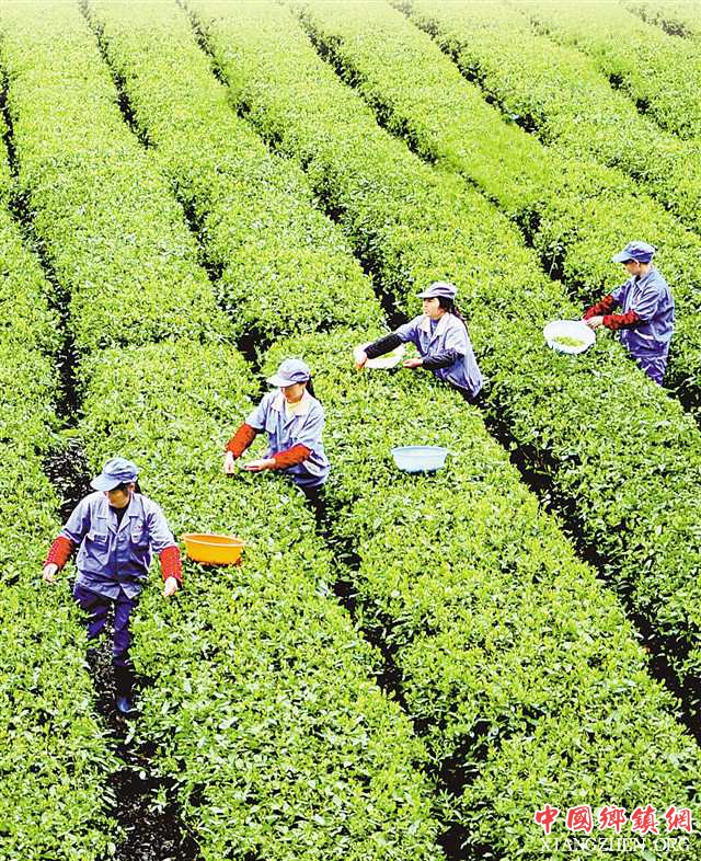 2019�꣬�������������