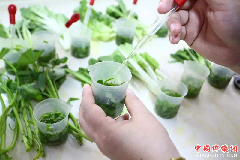 ũҵũ�岿����ʵʩ2019�����ũ��Ʒ������ȫ���м��ƻ�