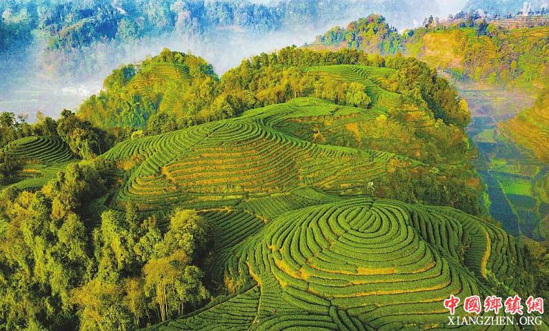 �ھŽ�ɶ��ɲ�ڿ�Ļ �ߣ����ѽ��ɲ�