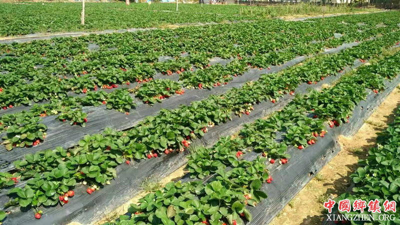 �˱�������������̤���Ρ��Բ�ݮ�����������ʱ