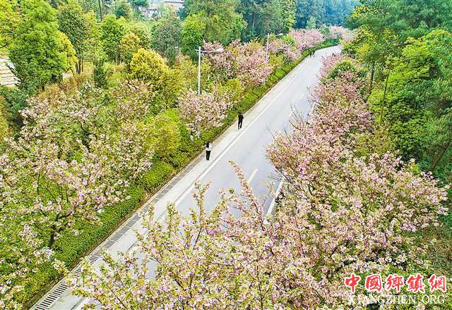 ������ɽƺӣ��ʢ��