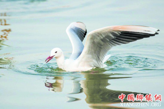 488�� �ɶ�����Ұ��������������