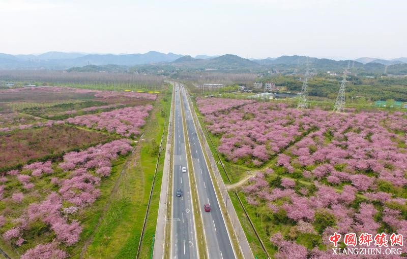 �㽭�����ĺ�ũ��·���ϴ���Ũ