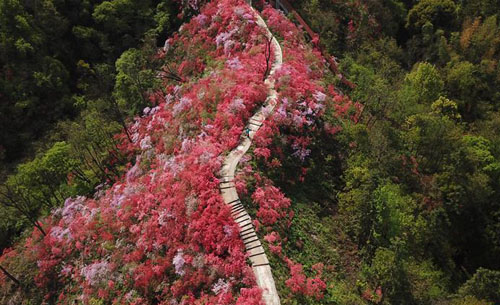 �ž黨��������