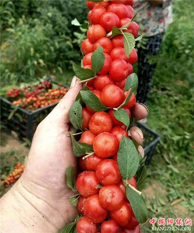 ۰ǣлźšСƹƶ׳