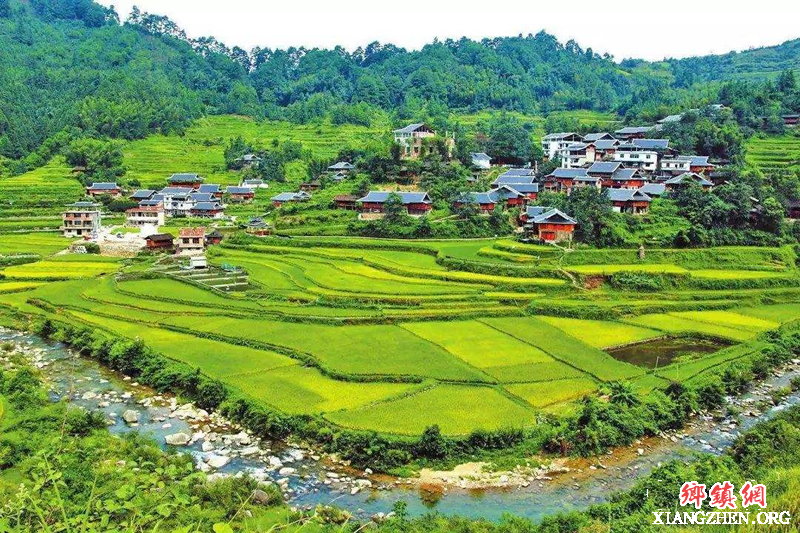 ����ũ�졢ũҵũ�岿����ʵ��ô�Ӯ��ׯ����ж��ļ�ս��