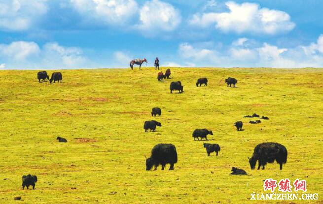 ��ԭ��ɳ �ֻ�һ��������������