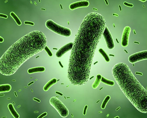 �ҹ���������������