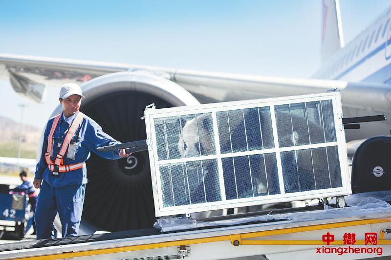 ����è���仧����ԭ��������