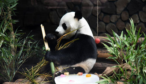 ����è���յ�������������һ��