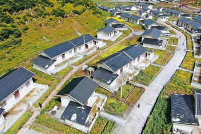 ���ſ��и���΢��԰��