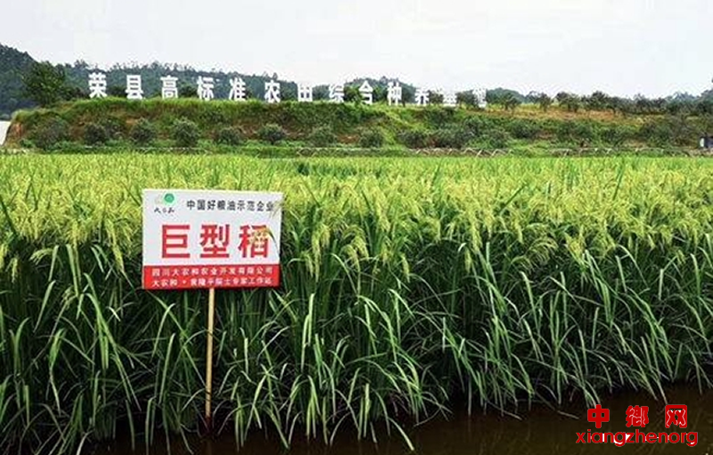 п顰