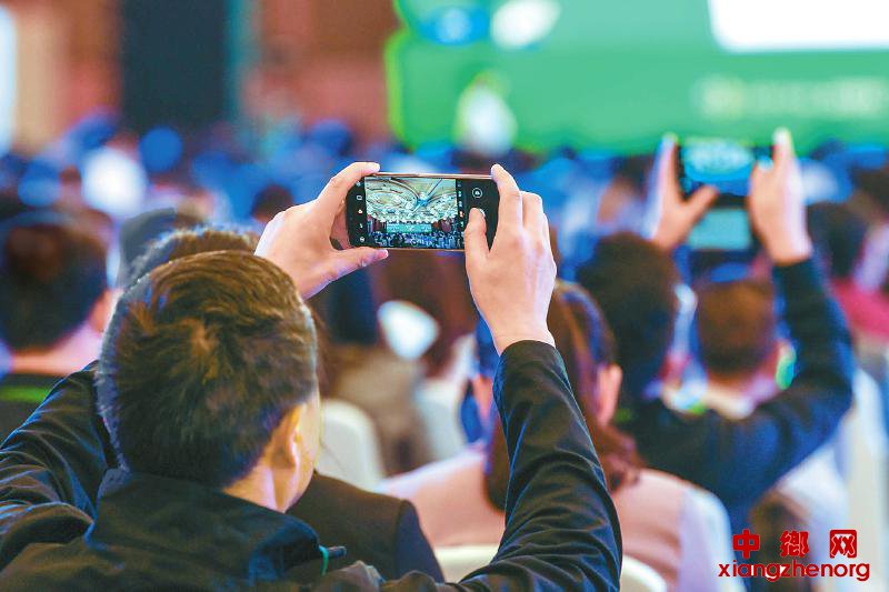 ��������ҽҩ�ִ������ʿƼ�����ֳ�