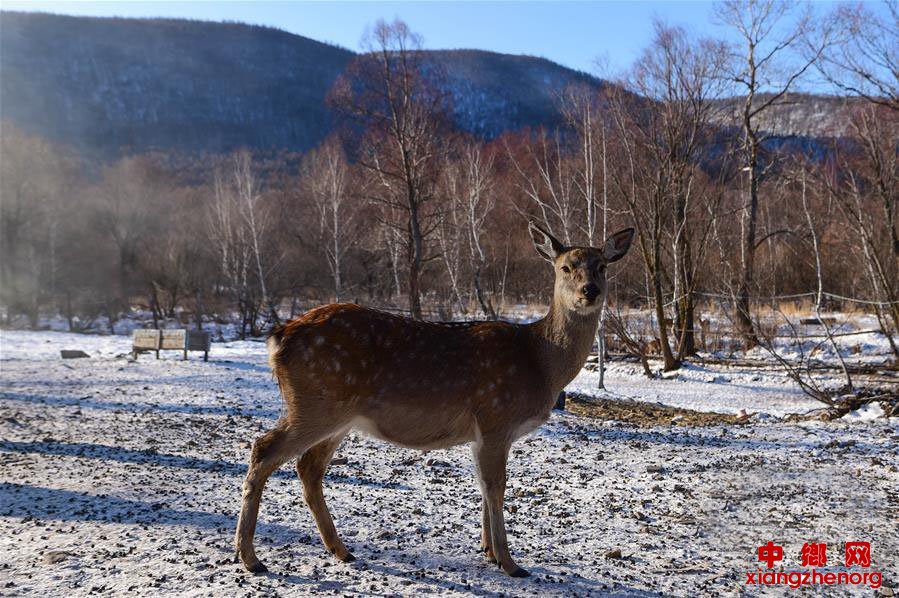 ɹŰɽƶ˿ϡɽˮҸ·