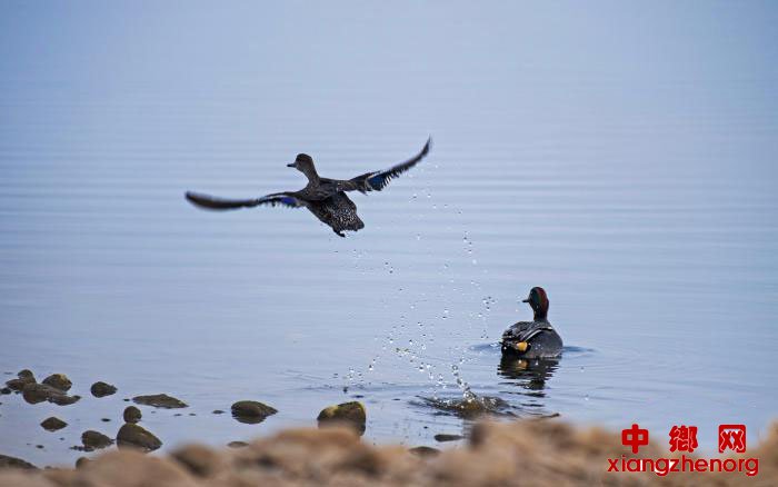 �����˶��γɶ�����԰ ��ϡ��������ϢԽ��