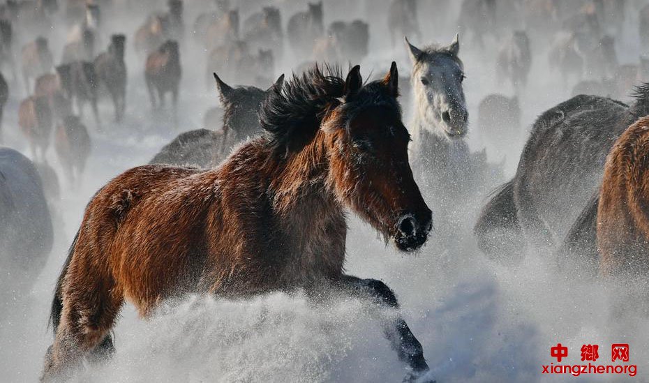 �½����մ��ԭ���֡��������ڡ�����