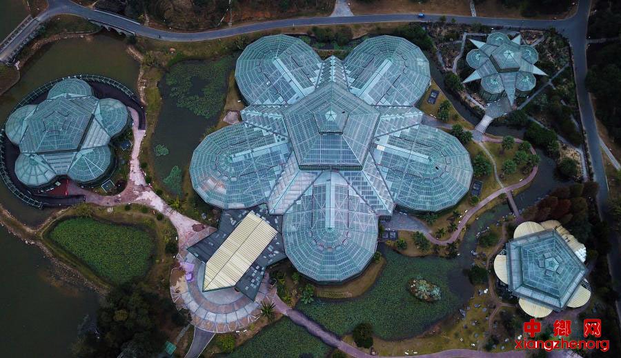 �����п�Ժ����ֲ��԰ ���ơ������˻��ء�