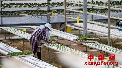 ��ԭ�������ӡ�ȫ����������Ӧ