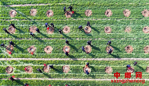 ����ֲ������ʱ