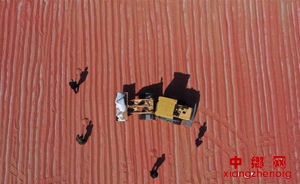 ���ױ�����ԭ������