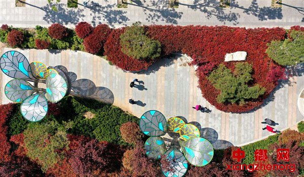 ɽ����ī�����ڴ���԰�� ��������