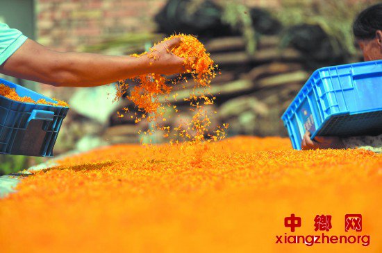 �Ͷ����조���ݺ족