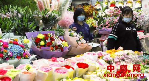 ���ֳ�����ĸ�׽�ǰ�ʻ��г���������