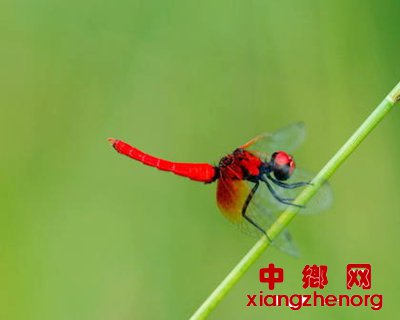 <b>峤15 ĴĿǰ֪СѸ</b>