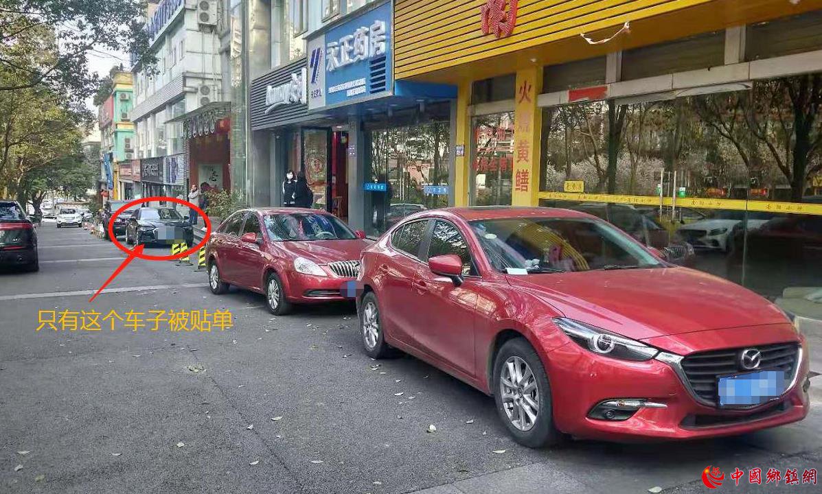 �Ĵ����ݣ���ɽƺ�������ִ�������������