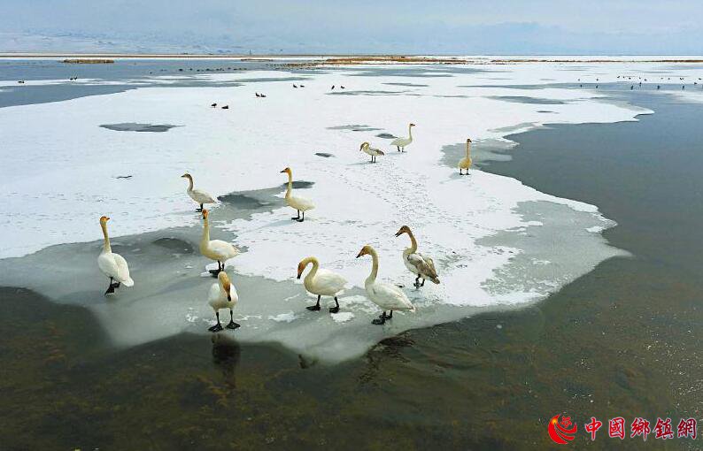 һ������硱����Ҫʪ��������Ȼ