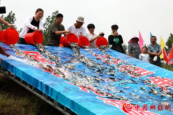 ���ո�����500��β��������Ļ��º�