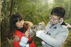 <b>泸州纳溪:猫头鹰夜闯民宅“歇脚”</b>