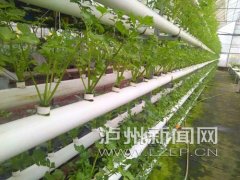 ǿݽɴȡȫִ֪ũҵǿ