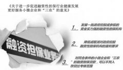 Ĵʵٸĸ֧С΢ҵ͡ũɳ