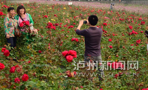 xiaof150471 - 