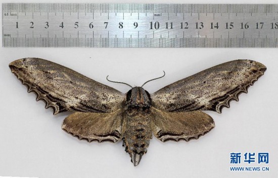 ͼĻĴһֻĸСǰص¼ 