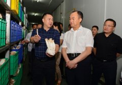 Ĵϳ䣺ίٱصִũҵչ